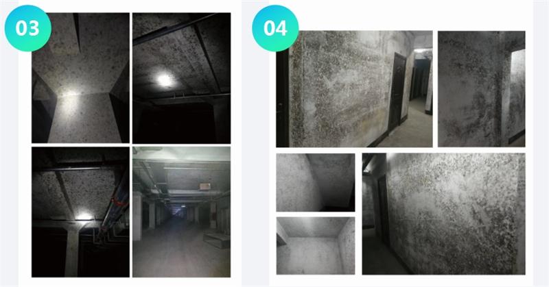 霉菌的溫床：地下車庫或儲藏室潮濕、滲漏...(圖2)
