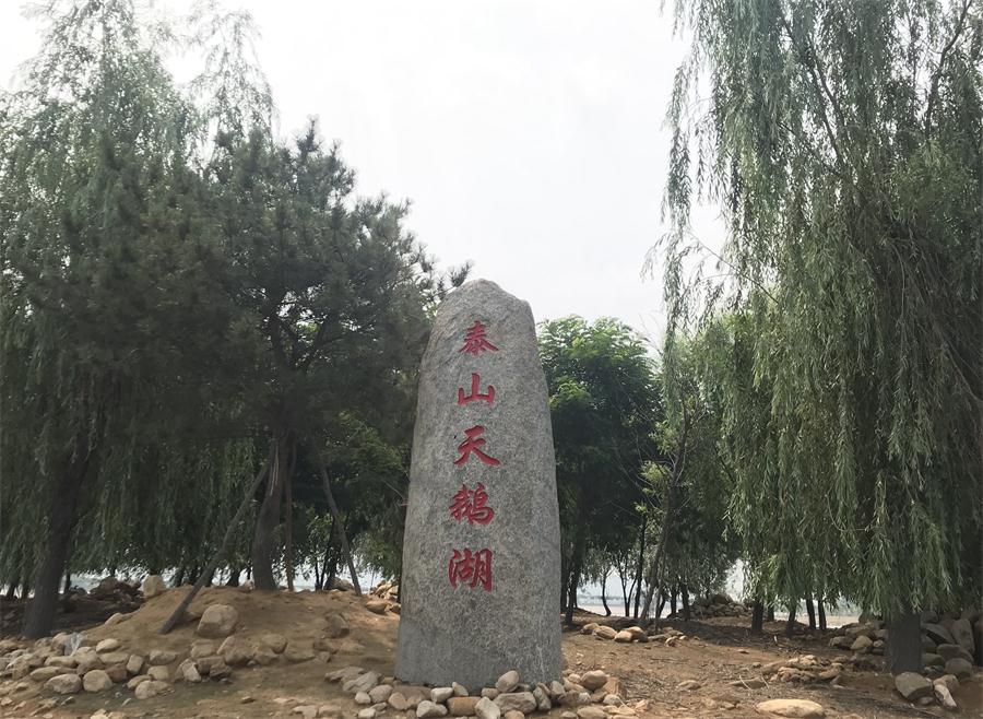 天鵝湖風(fēng)景區(qū)（泰山）速覽！(圖12)