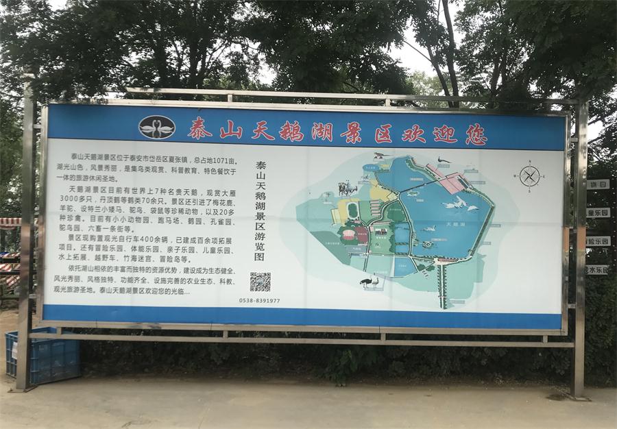 天鵝湖風(fēng)景區(qū)（泰山）速覽！(圖2)